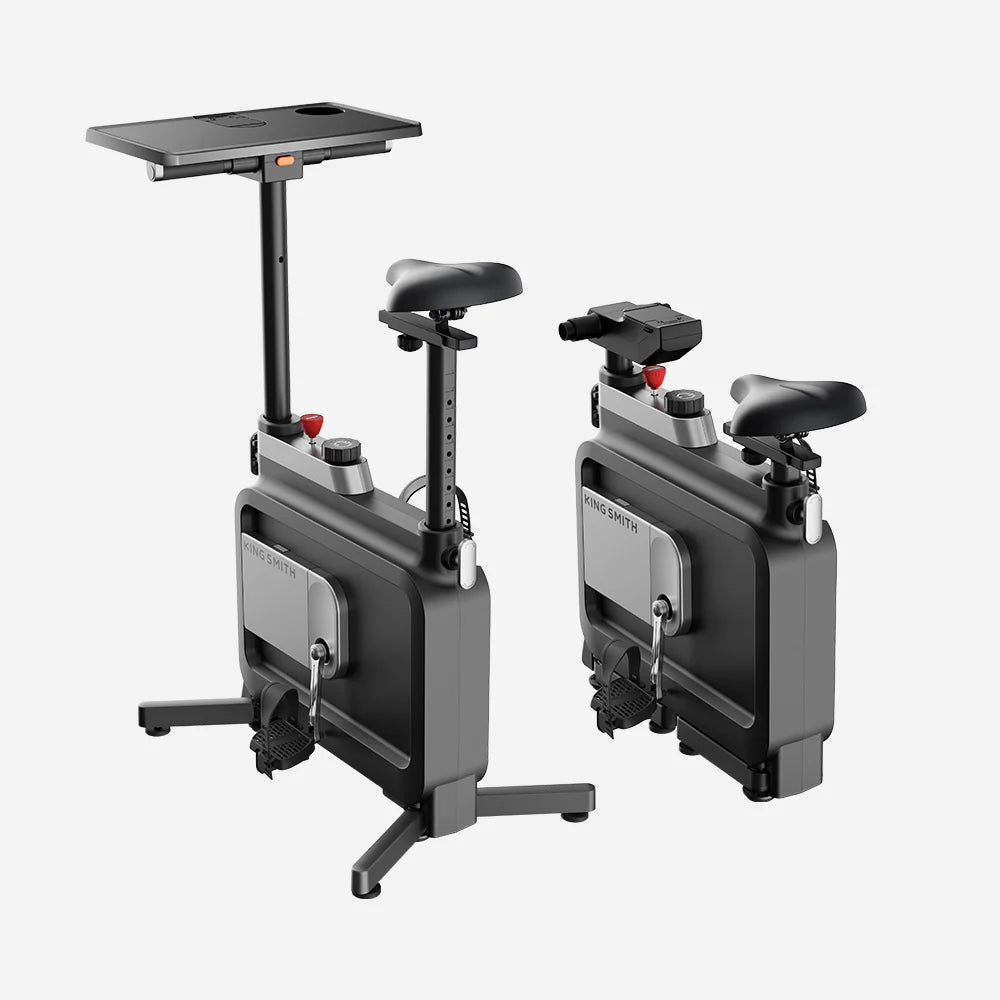 KINGSMITH W1B Foldable Workstation Bike