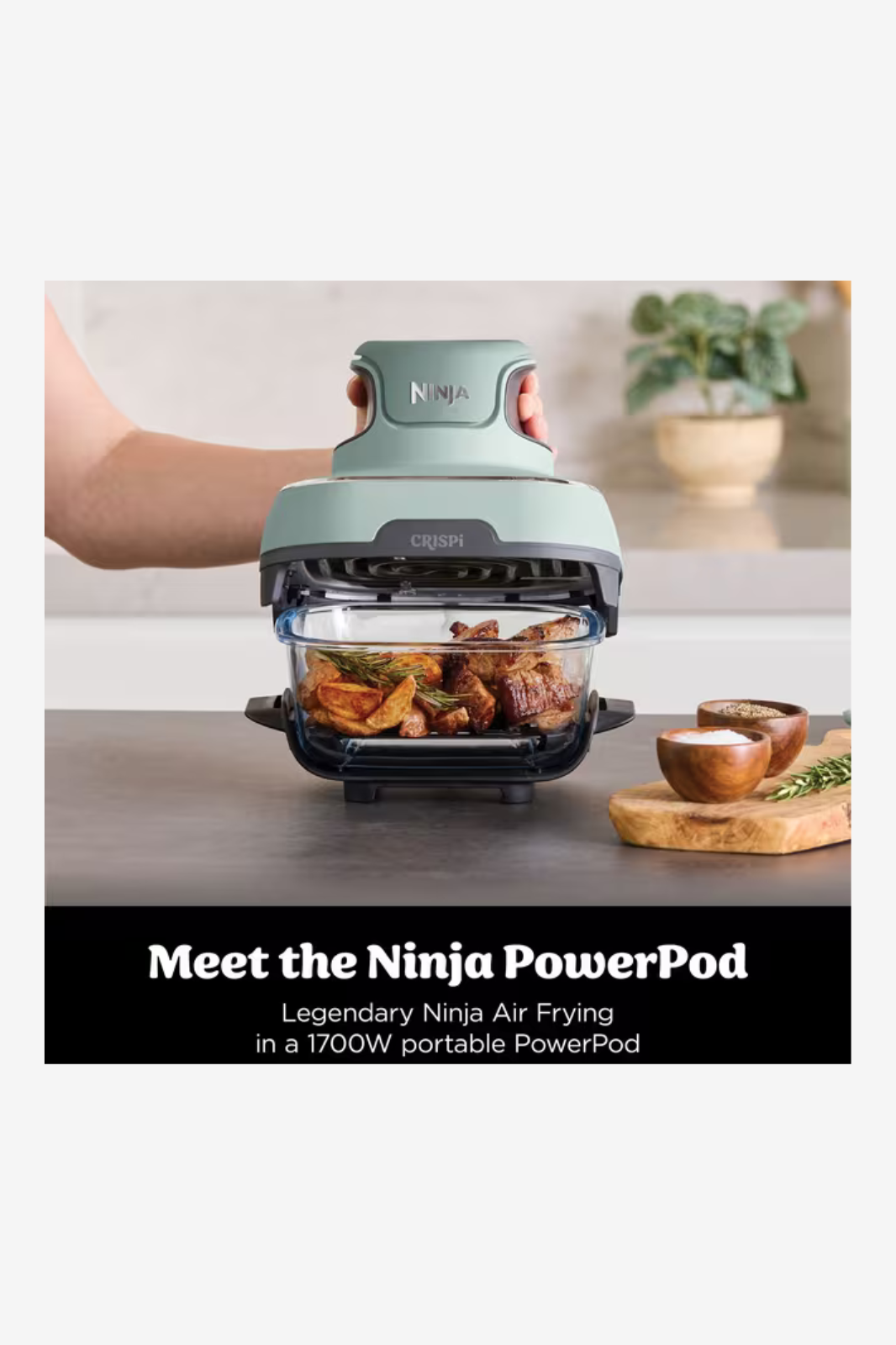 Ninja CRISPi 4-in-1 Portable Glass Air Fryer FN101