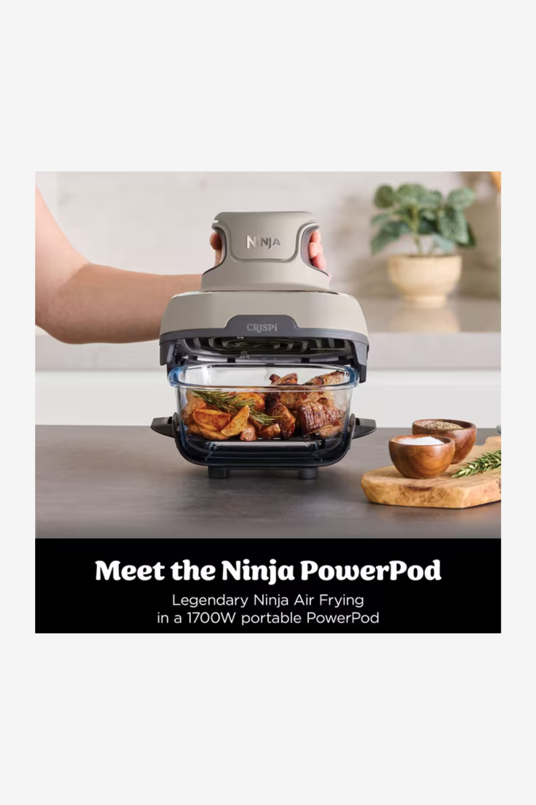 Ninja CRISPi 4-in-1 Portable Glass Air Fryer FN101