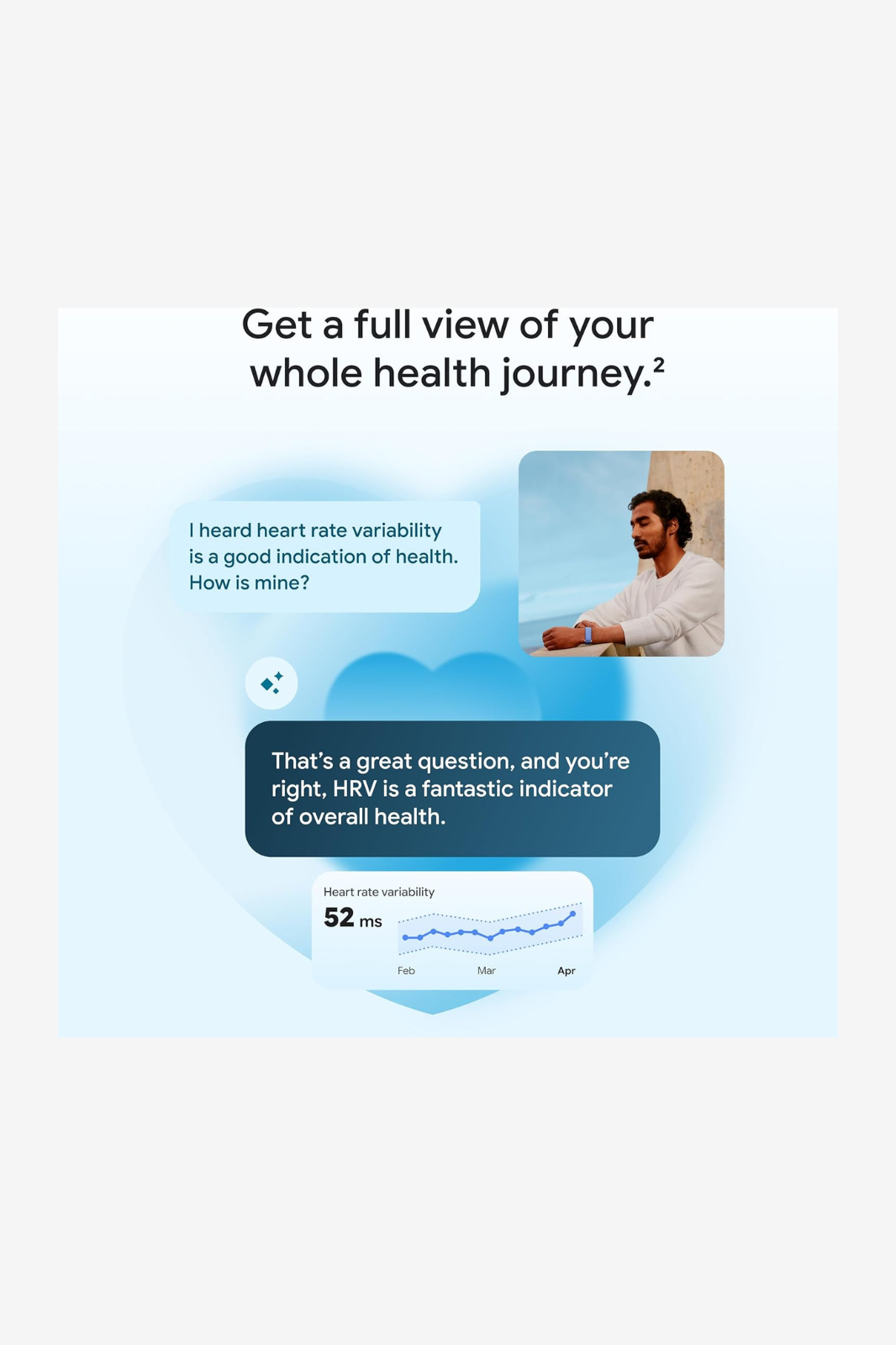 Google Fitbit Air
