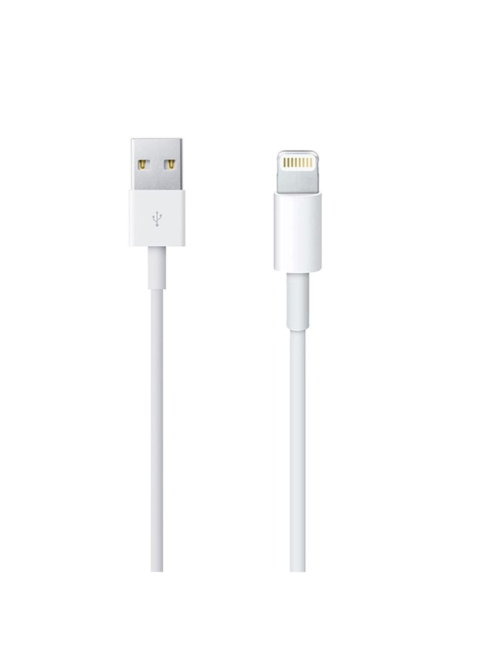 Apple Lightning to USB Cable (1m)